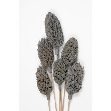 MAGNOLIA PODS Gray Wash 16"-OUT OF STOCK